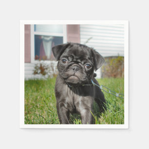 Servilleta De Papel Pug de cara achatada cachorro
