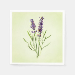 Servilleta De Papel Puntilla pintada verde de la lavanda del Celadon