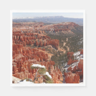 Servilleta De Papel Punto de inspiración en el Cañón Bryce I