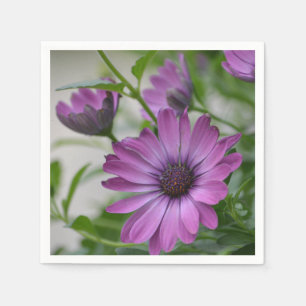 Servilleta De Papel Purple Daisy
