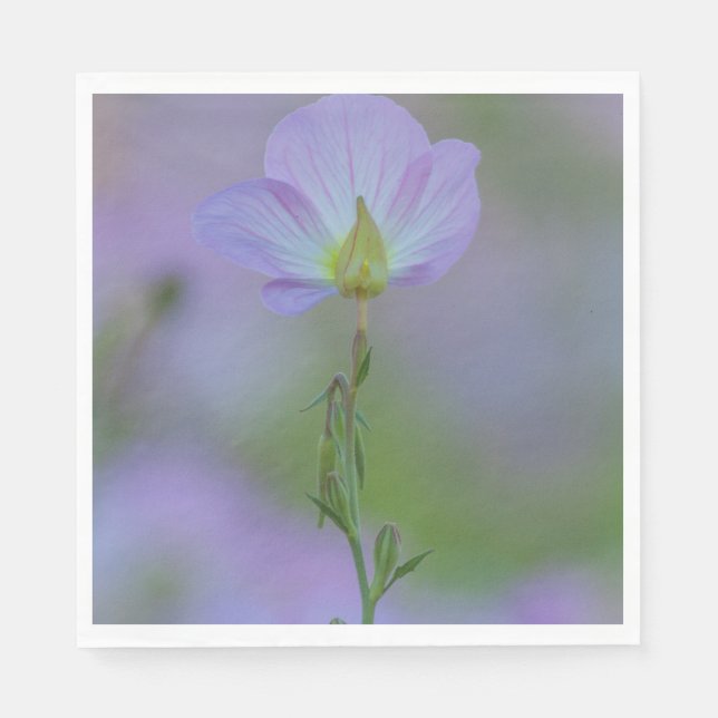 Servilleta De Papel Purple Primrose (Anverso)