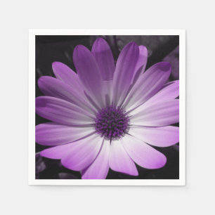 Servilleta De Papel Púrpura Daisy Flower Napkins