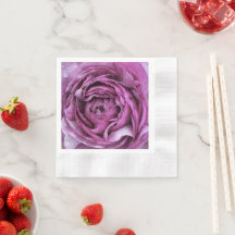 Púrpura Ranunculus