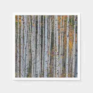 Servilleta De Papel Quaking Aspen en otoño