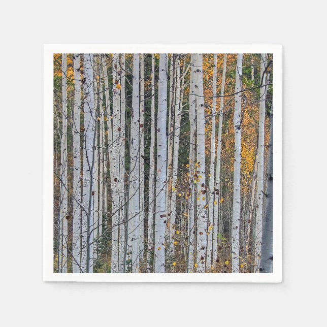 Servilleta De Papel Quaking Aspen en otoño (Anverso)