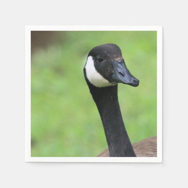 Servilleta De Papel ¿Qué? (Anverso)