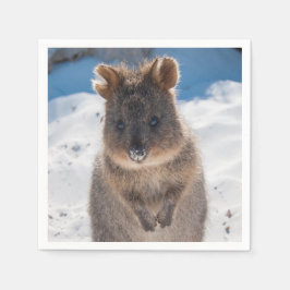 Servilleta De Papel Quokka on the beach in Australia, cute photo