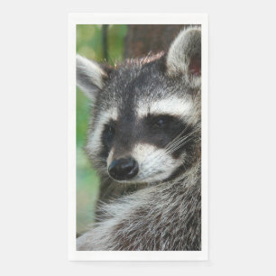Servilleta De Papel Raccoon 001