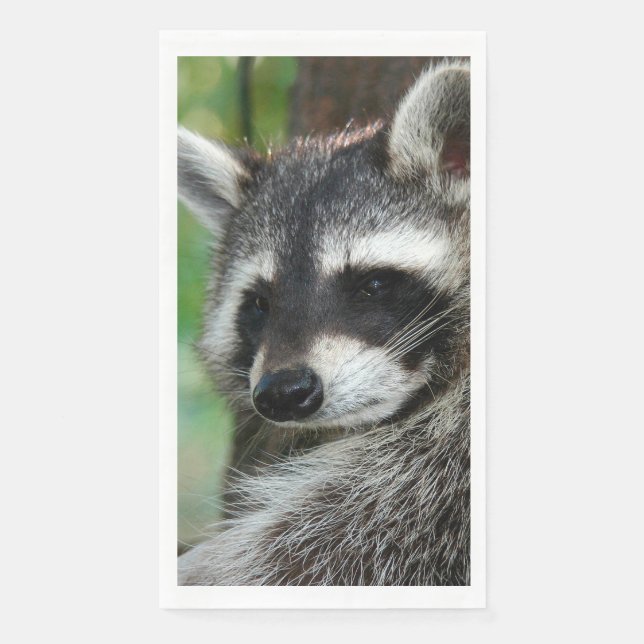 Servilleta De Papel Raccoon 001 (Anverso)