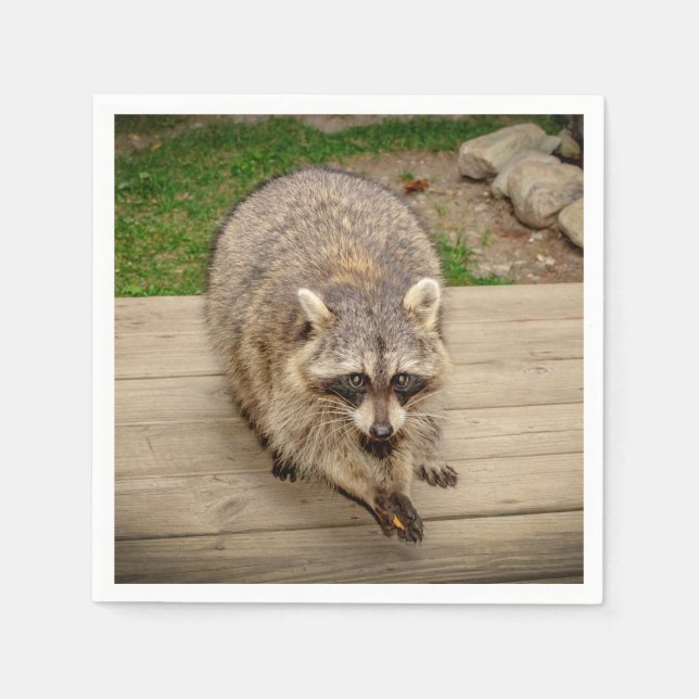 Servilleta De Papel Raccoon con chip (Anverso)