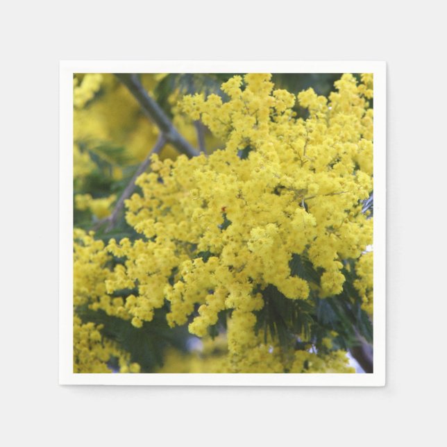 Servilleta De Papel Rama de mimosa (Anverso)