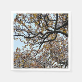 Servilleta De Papel Ramas con hojas de naranja y nieve