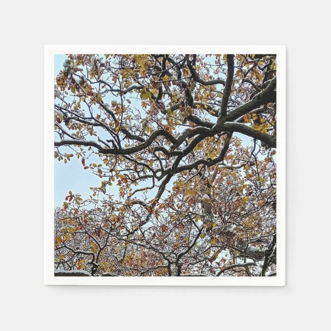 Servilleta De Papel Ramas con hojas de naranja y nieve (Anverso)