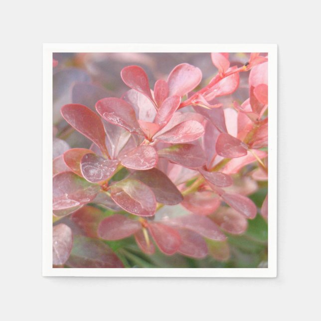 Servilleta De Papel Ramas rosadas de bonito (Anverso)