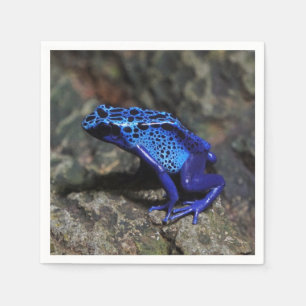 Servilleta De Papel Rana Dart de veneno azul, Rana azul brillante