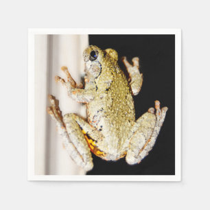 Servilleta De Papel Rana de árbol blanco amarillo