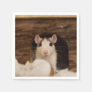 Servilleta De Papel Rata Cuta