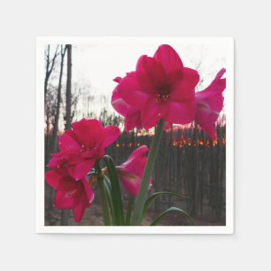 Servilleta De Papel Red Amaryllis y el amanecer invernal