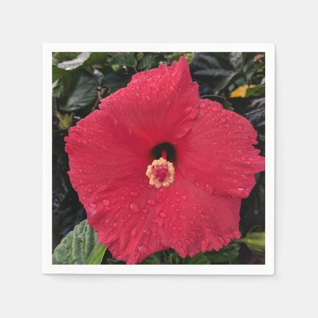 Servilleta De Papel Red Hibiscus Paper Napkin (Anverso)
