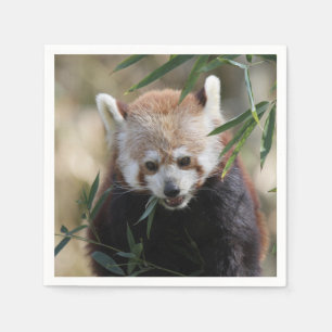 Servilleta De Papel Red_Panda_2015_0311