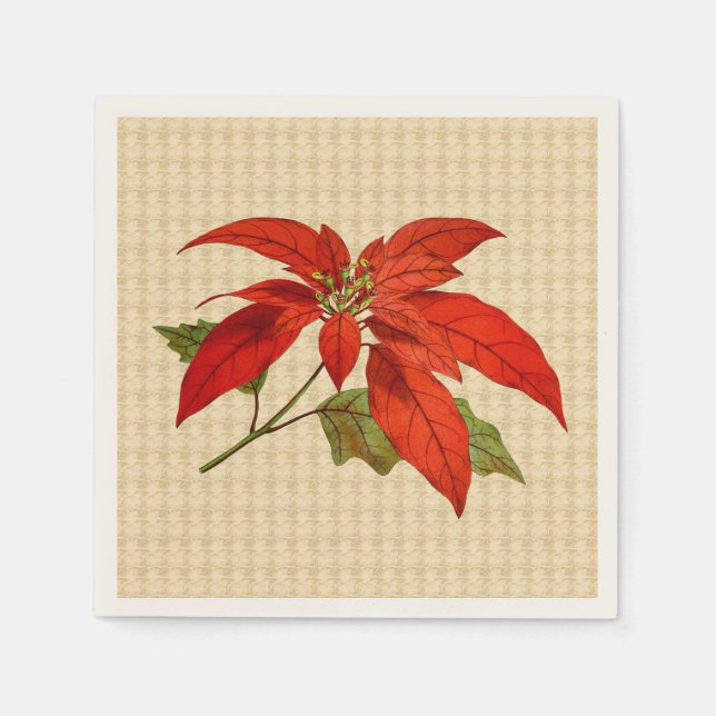 Servilleta De Papel Red Poinsettia Ecru Standard Cocktail Napkin (Anverso)