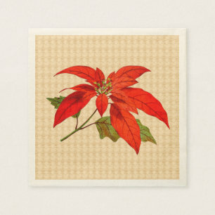 Servilleta De Papel Red Poinsettia Ecru Standard Cocktail Napkin