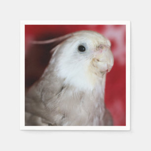 Servilleta De Papel Reeples