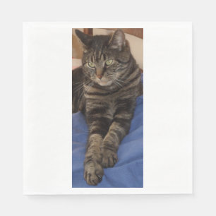 Servilleta De Papel Regal Dave White Standard Luncheon Paper Napkins