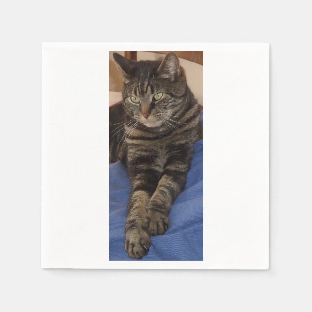 Servilleta De Papel Regal Dave White Standard Napkins (Anverso)