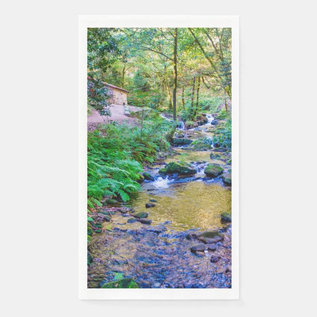 Servilleta De Papel Rego da armenteira (Anverso)