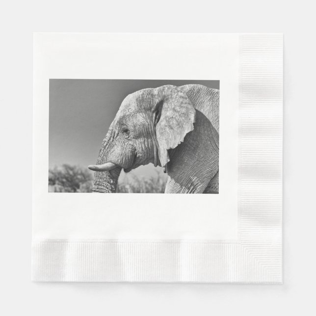 Servilleta De Papel Retrato de elefante (Anverso)