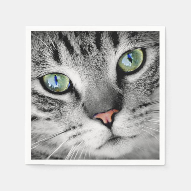 Servilleta De Papel Retrato de gatito verde (Anverso)