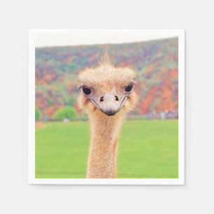 Servilleta De Papel Retrato de la avestruz