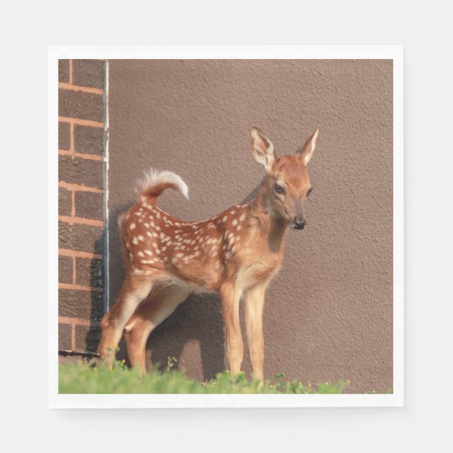 Servilleta De Papel Retrato de un alba (ciervo de cola blanca) (Anverso)