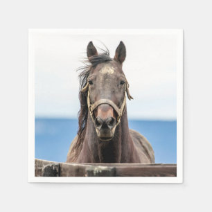 Servilleta De Papel Retrato de un caballo