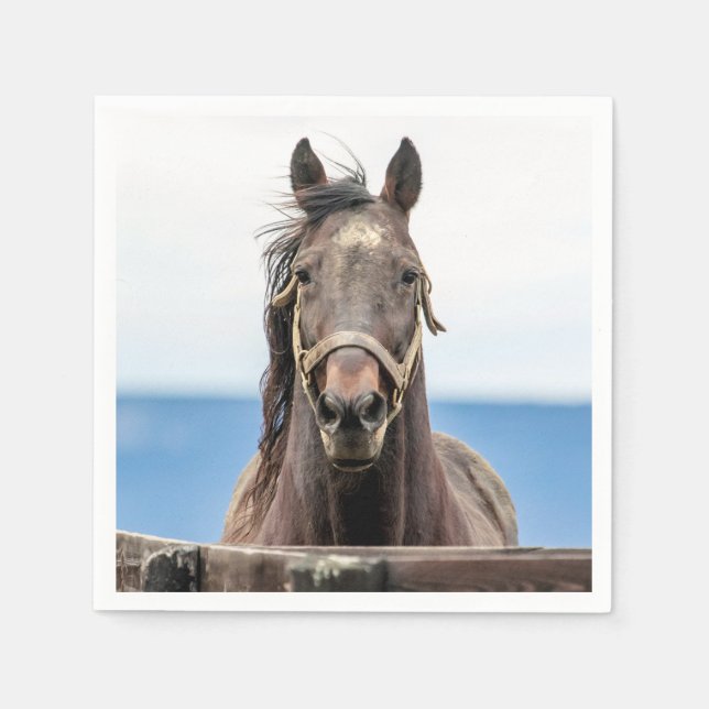 Servilleta De Papel Retrato de un caballo (Anverso)