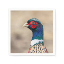 Retrato de un faisán