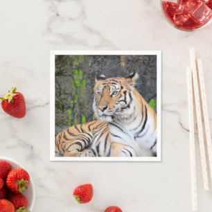 Servilleta De Papel Retrato dramático de un tigre descansando
