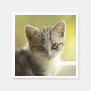Servilleta De Papel Retrato lindo del gatito