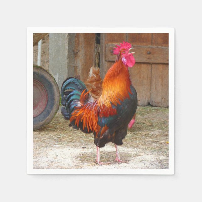 Servilleta De Papel Rhode Island Red Rooster Crowing in Barnyard (Anverso)