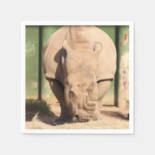 Servilleta De Papel Rinoceronte blanco
