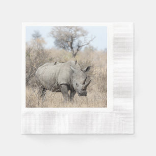 Servilleta De Papel Rinoceronte blanco