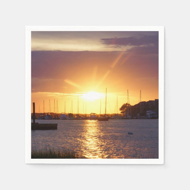 Servilleta De Papel Río Folly (Anverso)