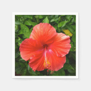 Servilleta De Papel Rojo Tropical Hibiscus Bonita Springs Florida