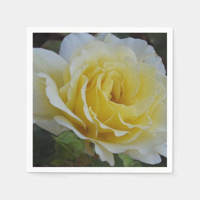 Servilleta De Papel Ropa de rosa blanca y amarilla (Anverso)