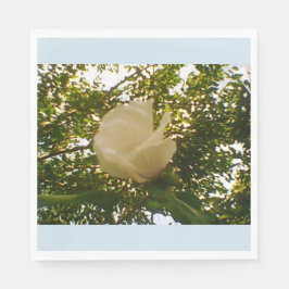 Servilleta De Papel Rosa blanca