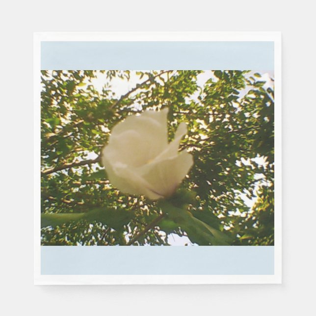 Servilleta De Papel Rosa blanca (Anverso)