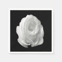 rosa-blanca-sobre-fondo-negro