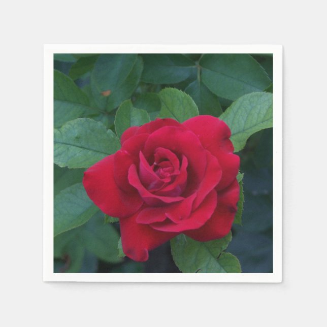 Servilleta De Papel Rosa Roja de Cerca (Anverso)