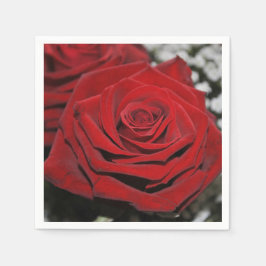 Servilleta De Papel Rosa rojo hermoso